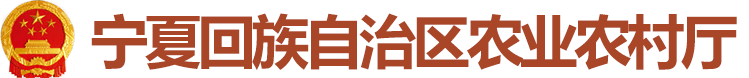 新澳彩